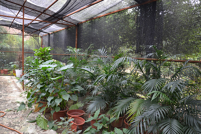 種植基地